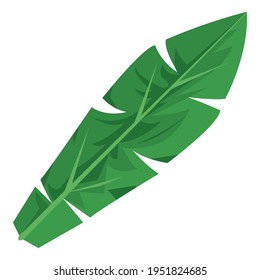 icono tropical de la palmera de hoja