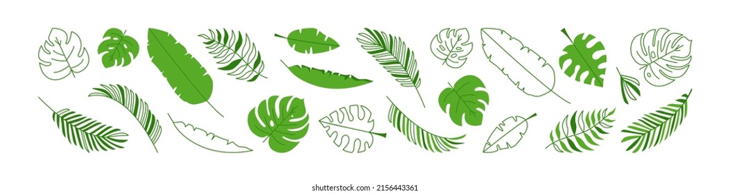 Leaf Palm Vector Set, Summer Jungle Foliage, Green Tropic Plant,  Element Exotic Tree, Leaves Outline And Flat Design Isolated On White Background. Nature Illustration