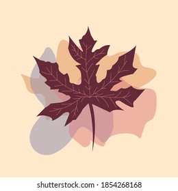 The leaf of the Papaya plant from tropical forests are isolated against a autumn background. Can be used for greeting cards, flyers, invitations, web design, and everything