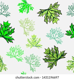 leaf papaya Seamless pattern nature  leaves doodle with white background