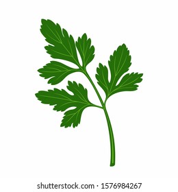 parsley cartoon clipart