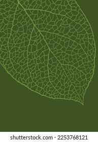
leaf pattern design in green color background design note book cover design .eps
