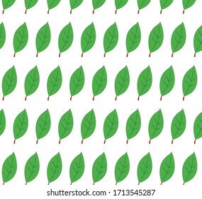 leaf pattern design. this is vector.