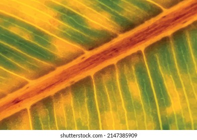 leaf pattern detail cell view detail, editable vectors. Use for design, textile, background, products, fashion, packaging and other purposes.