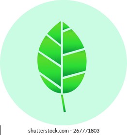 leaf pattern element vector