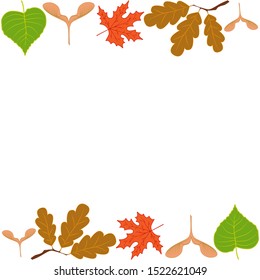 Leaf pattern: poplar, ash seeds, oak branch, and maple leaf. Autumn leaves natural colors. Leaves of different trees.