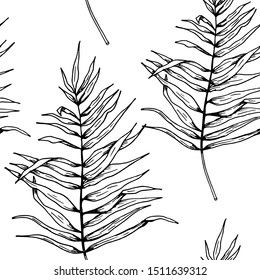 Leaf pattern. Seamless vector backdrop. Hand drawn tropical palm leaves on white background. Sketch style. Black on white.