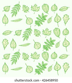 leaf pattern/vector