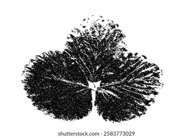 Leaf photocopy element. Collage botanical shape. Strawberry foliage stippled. Vector stippled nature illustration isolated on white background.
