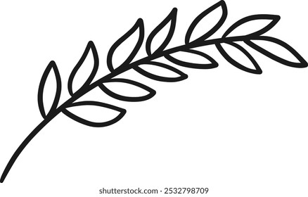 Leaf pinnate line art nature