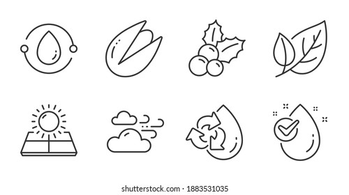 Fijación de iconos de línea de caída de hojas, pistachio y agua. El clima eólico, el aceite de presión fría y las señales de energía solar. Reciclar agua, símbolos de Navidad. Ecología, comida vegetariana, agua limpia. Vector