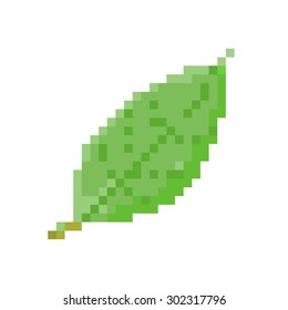 Leaf Pixel Vector.