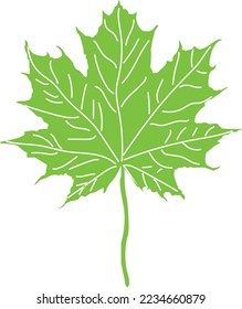 Blätter (pl: B. Blätter) ist eine der Hauptanbauten eines Gefäßpflanzenstammes, der gewöhnlich seitlich über dem Hintergrund getragen wird und auf Fotosynthese spezialisiert ist. 