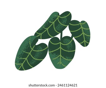 Leaf plant. Big green leaves. Exotic tropical greenery. Natural foliage, botanical decoration. Fresh organic flora, decorative vegetation. Flat vector illustration isolated on white background