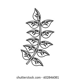 leaf plant decoration icon vector illustration design