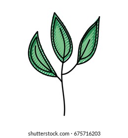 leaf plant decorative icon