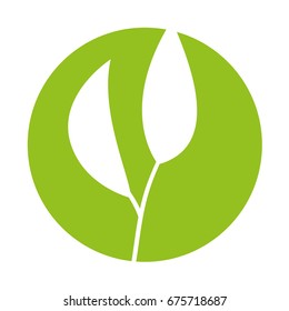 leaf plant decorative icon