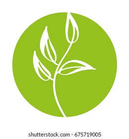 leaf plant decorative icon
