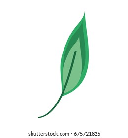 leaf plant decorative icon