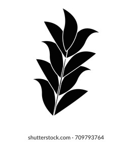 leaf plant decorative icon