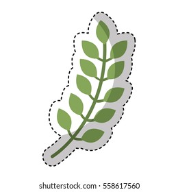 leaf plant decorative icon vector illustration design