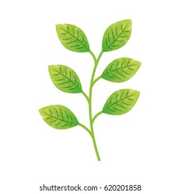 leaf plant decorative isolated icon