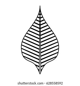 leaf plant decorative isolated icon
