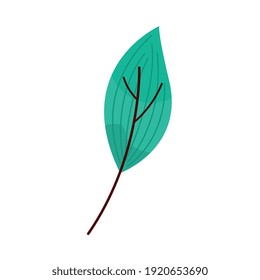 ecología de la temporada de verano de la planta de la hoja icono de ilustración vectorial diseño