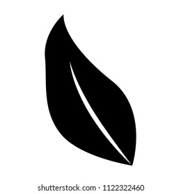 leaf plant ecology icon