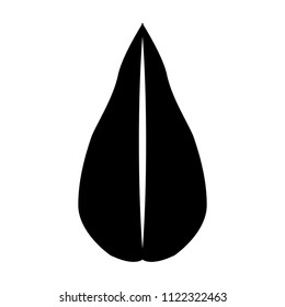leaf plant ecology icon
