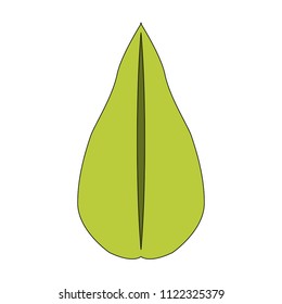 leaf plant ecology icon