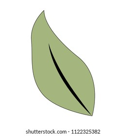 leaf plant ecology icon