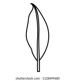 leaf plant ecology icon
