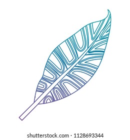 leaf plant ecology icon