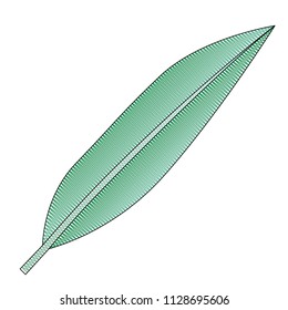 leaf plant ecology icon