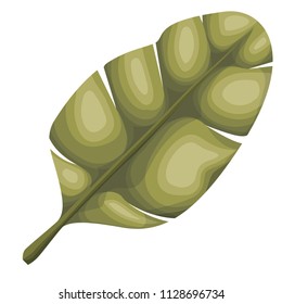 leaf plant ecology icon