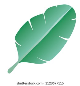 leaf plant ecology icon