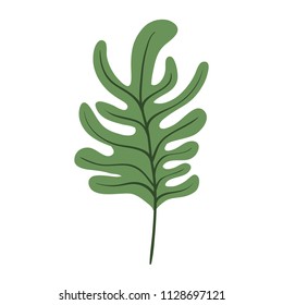 leaf plant ecology icon