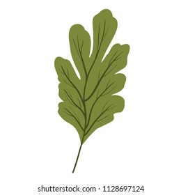 leaf plant ecology icon