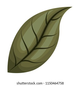 leaf plant ecology icon