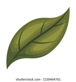 leaf plant ecology icon