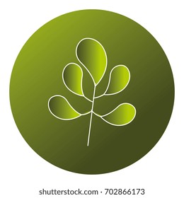 leaf plant ecology icon