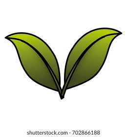 leaf plant ecology icon