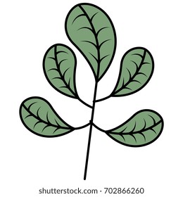 leaf plant ecology icon
