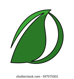 leaf plant ecology symbol vector illustration design
