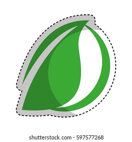 leaf plant ecology symbol vector illustration design