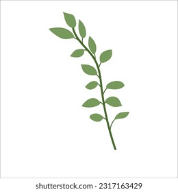 Leaf-Pflanzenelement für schönes Design.