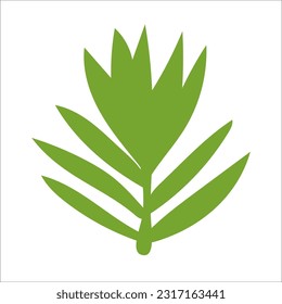 Leaf plant element for beautiful design.