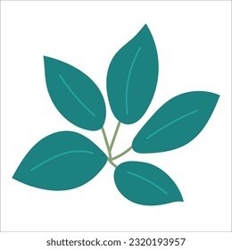 Leaf-Pflanzenelement für schönes Design.
