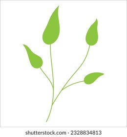 Leaf-Pflanzenelement für schönes Design.